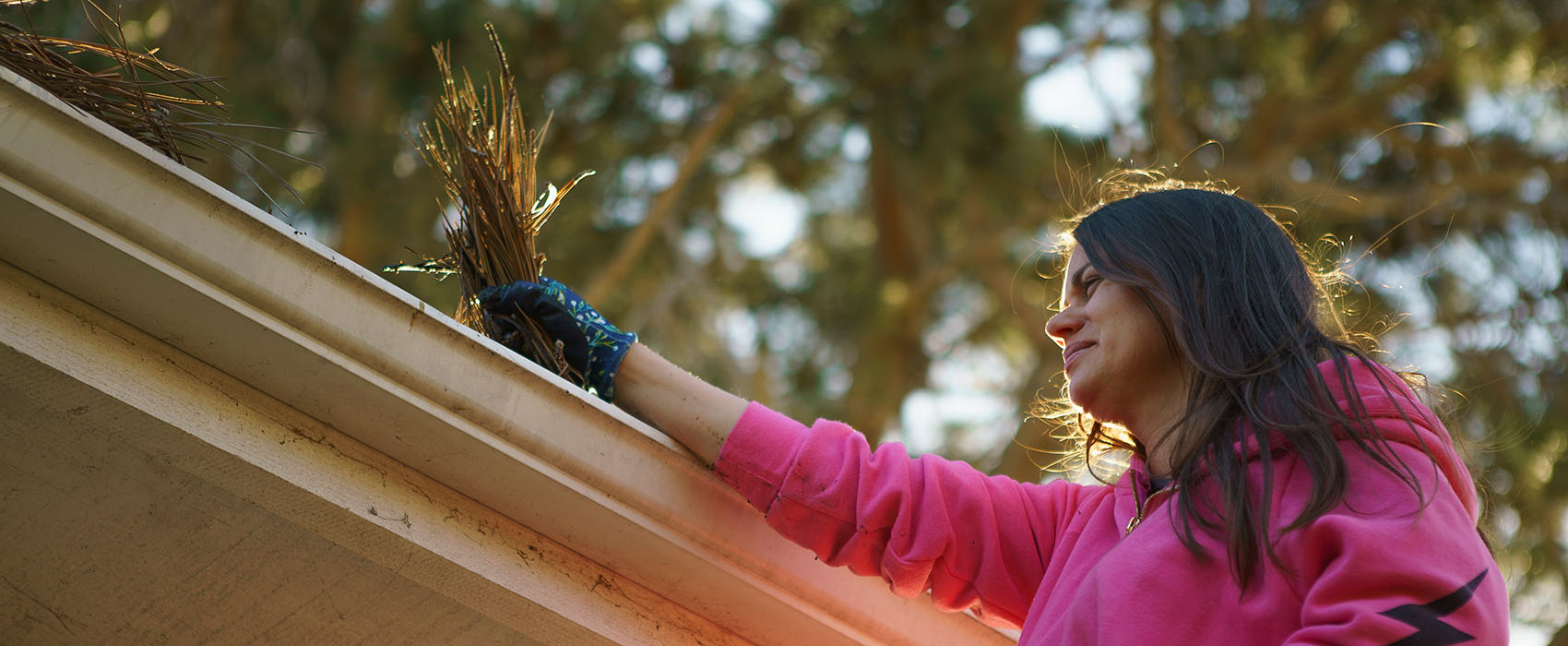 Woman cleans dry tree debris from roof drainpipe 