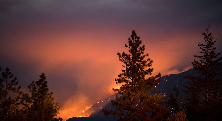 Night landscape illuminated by wildfire and smoky skies on a hillside in British Columbia, Canada.