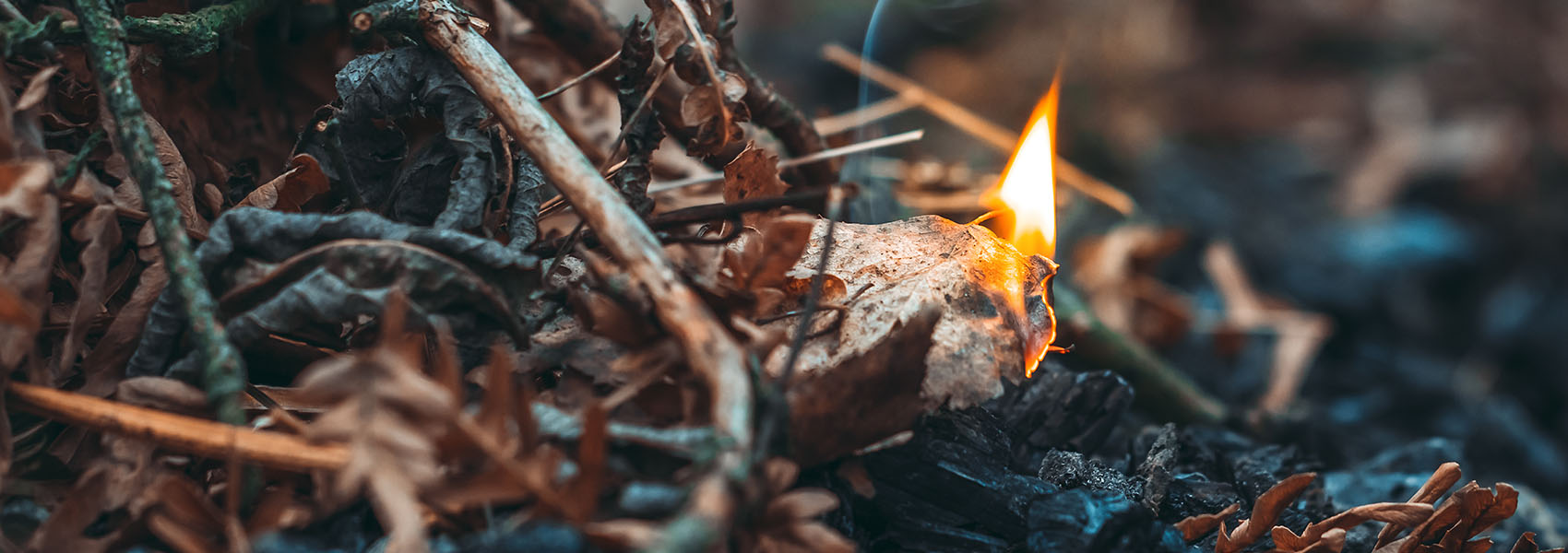 wildfire