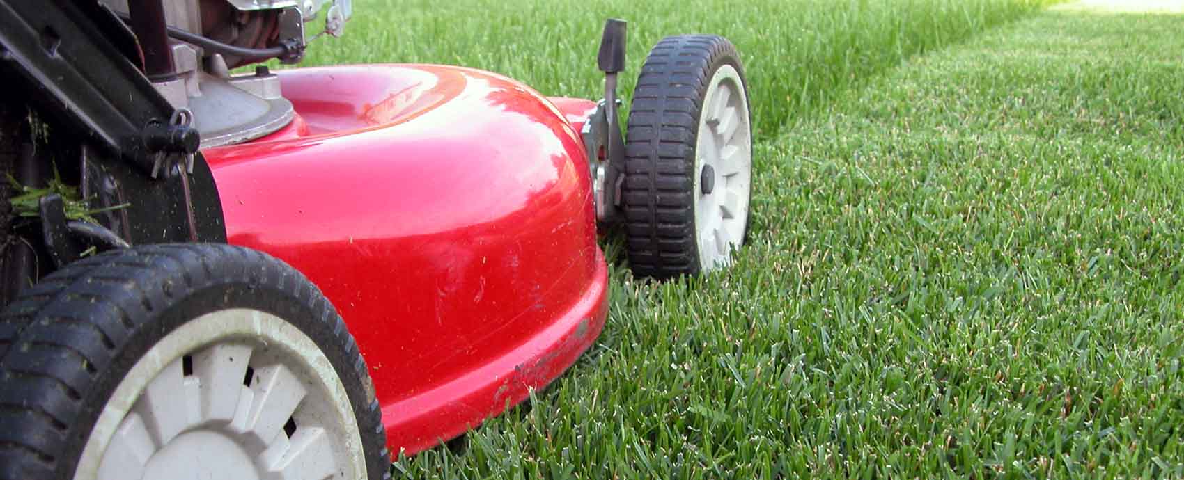 mowing the lawn