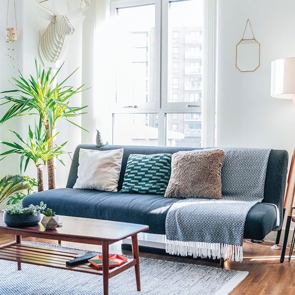 renovated living room with sofa