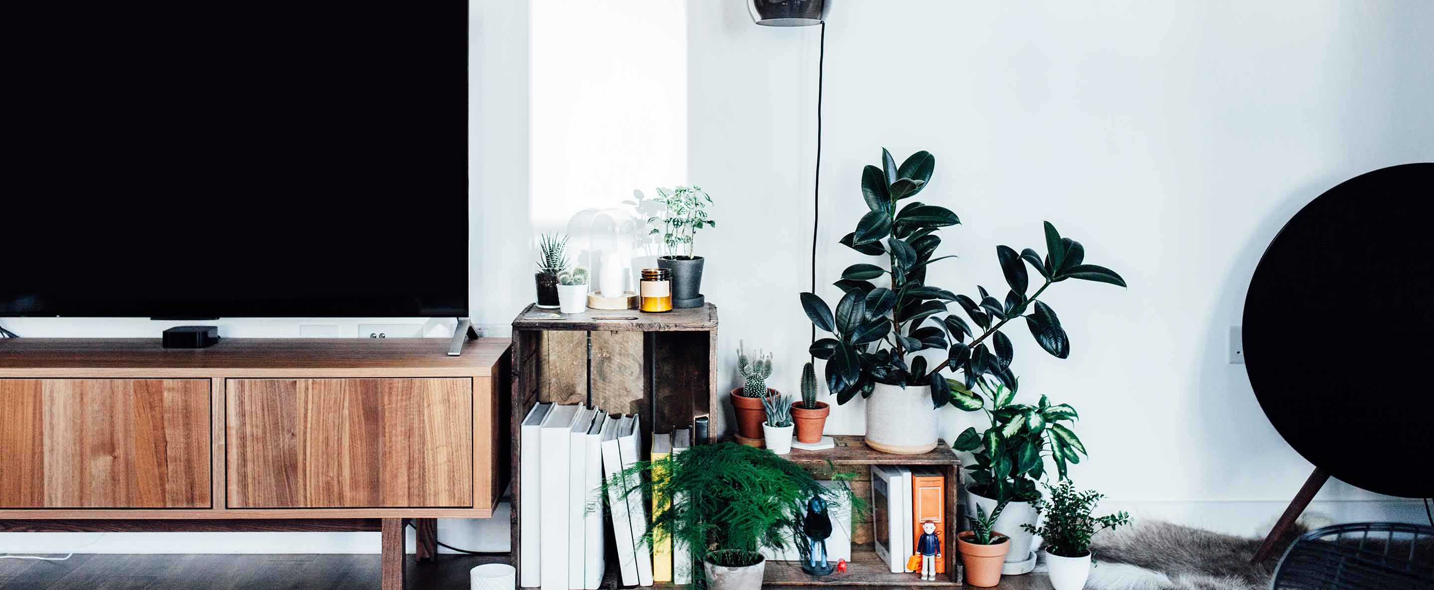 TV unit in living room