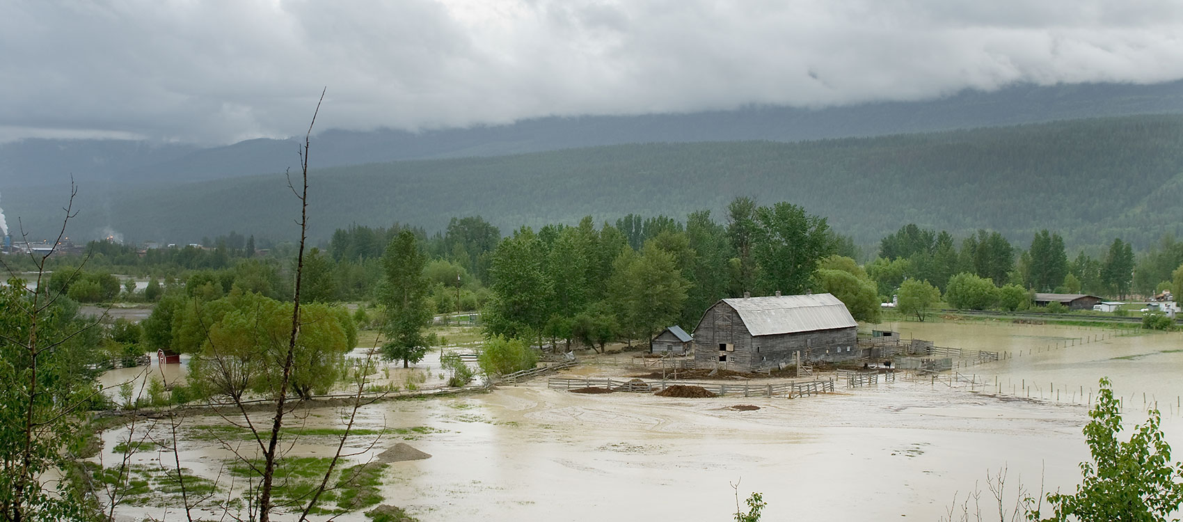 Flooded farmland with golden fields beside the Columbia River