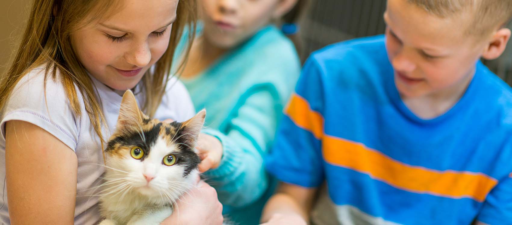 Kids picking a cat to adopt from the animal shelter