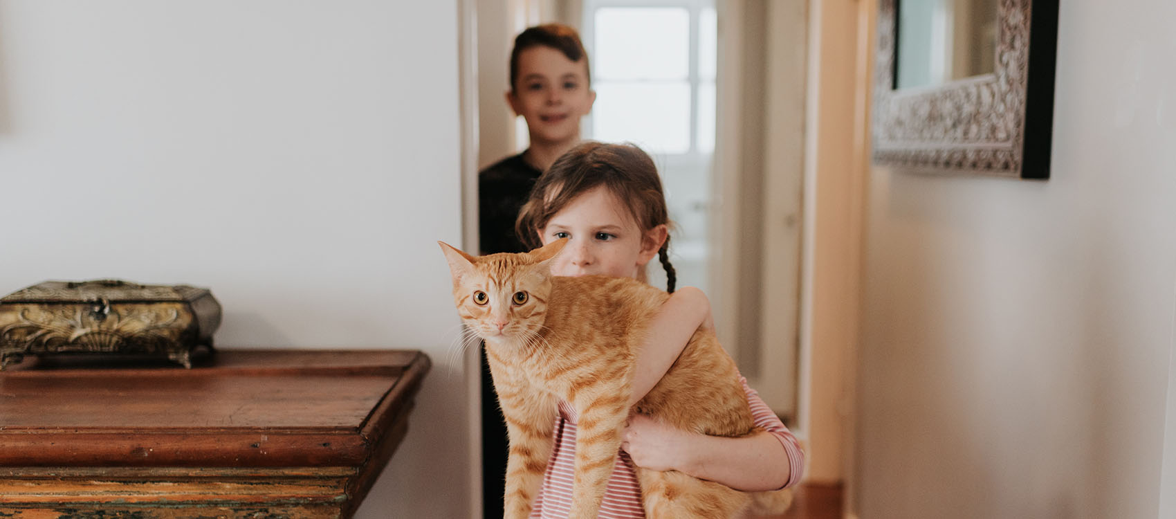 Boy watching sister carrying cat at home