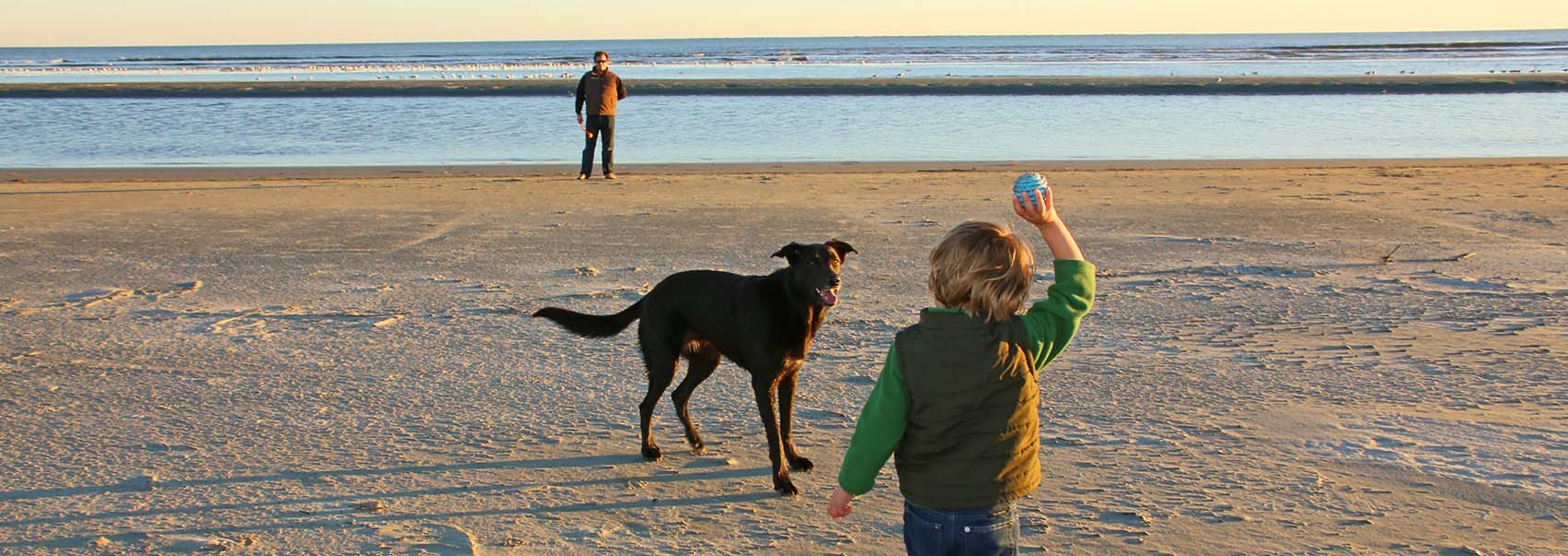 Playing with the dog at the beach