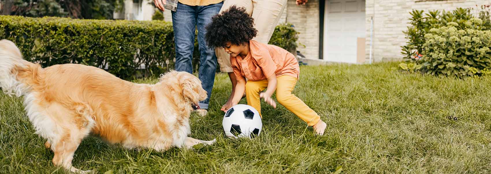 child playing soccer with golden retriever