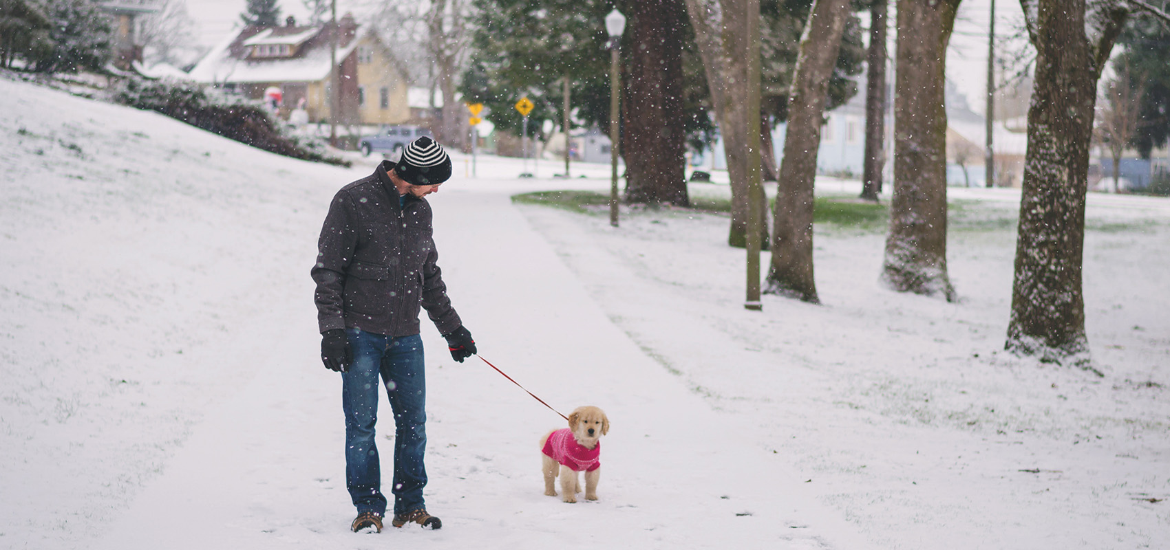 Walking a dog in the snow