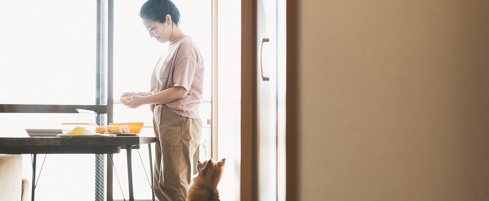 dog watching person preparing food