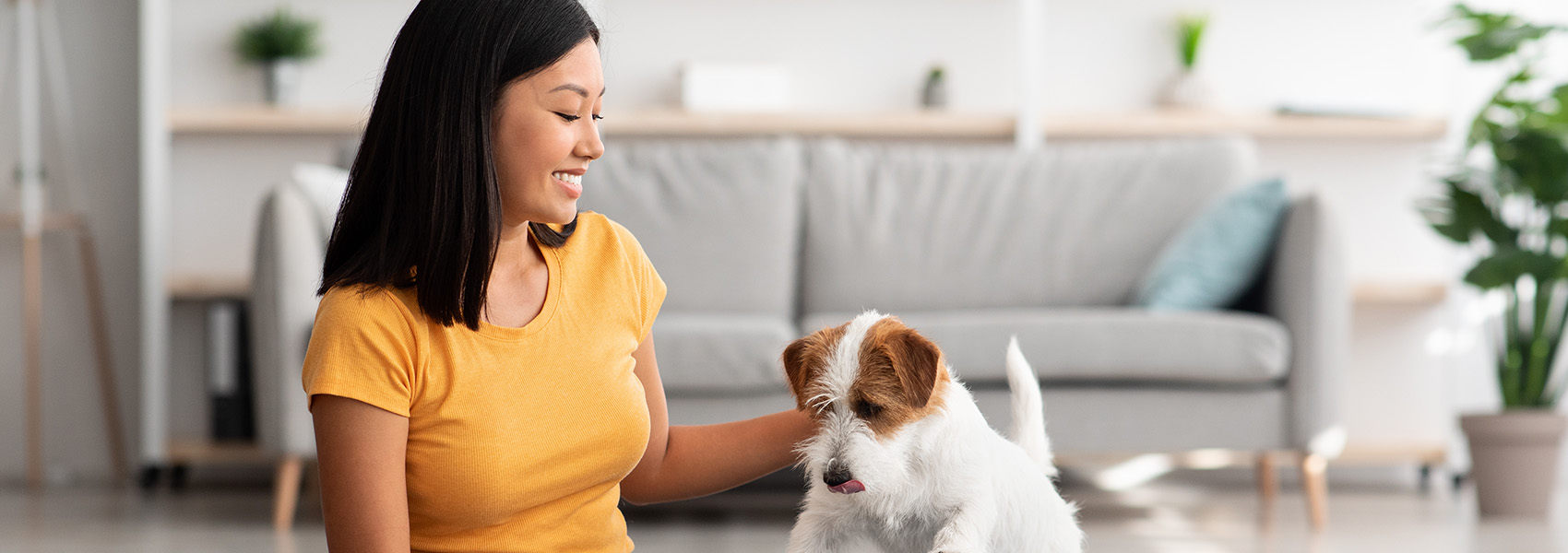 playing with dog in living room