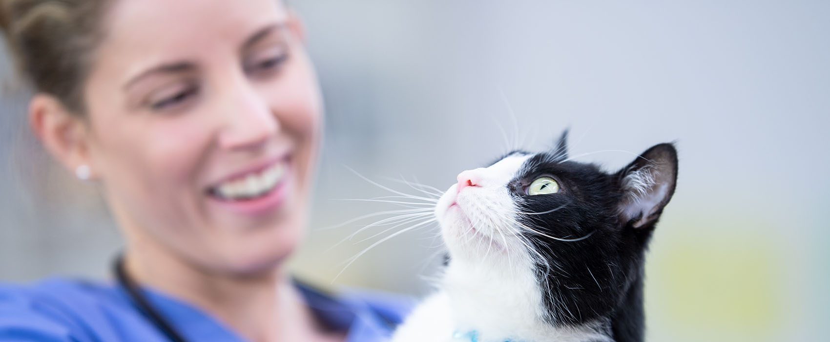 Woman in purple scrub top holding a black and white cat who looks up to the sky