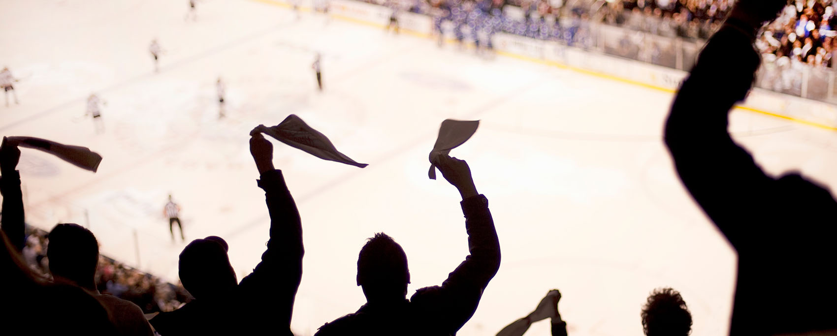 hockey fans cheering at a game