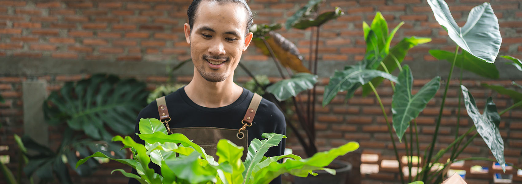 man tending to home garden