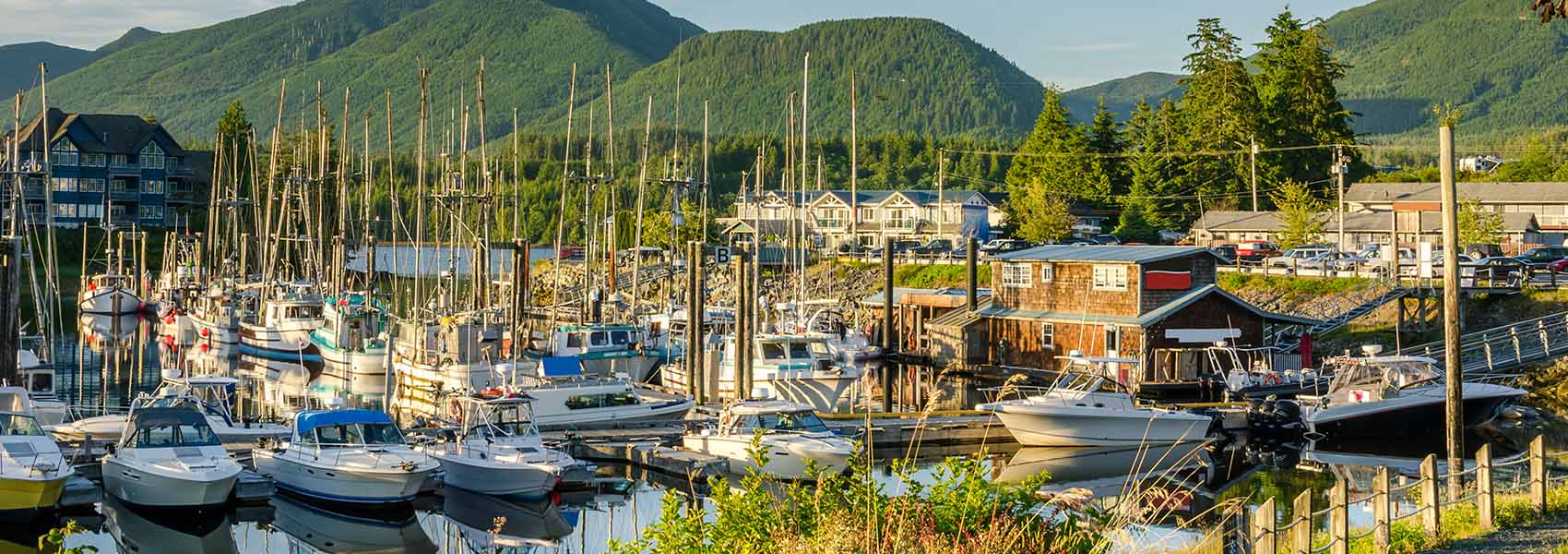 boats in harbour at sunset