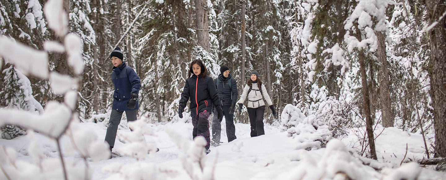Group hiking through the forest in winter