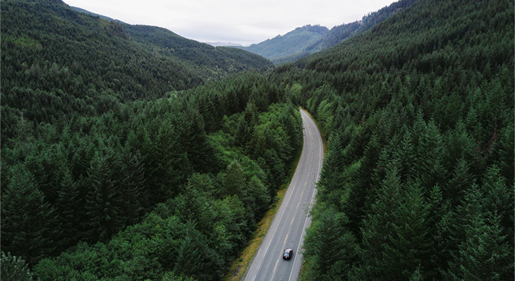 car driving through BC forest