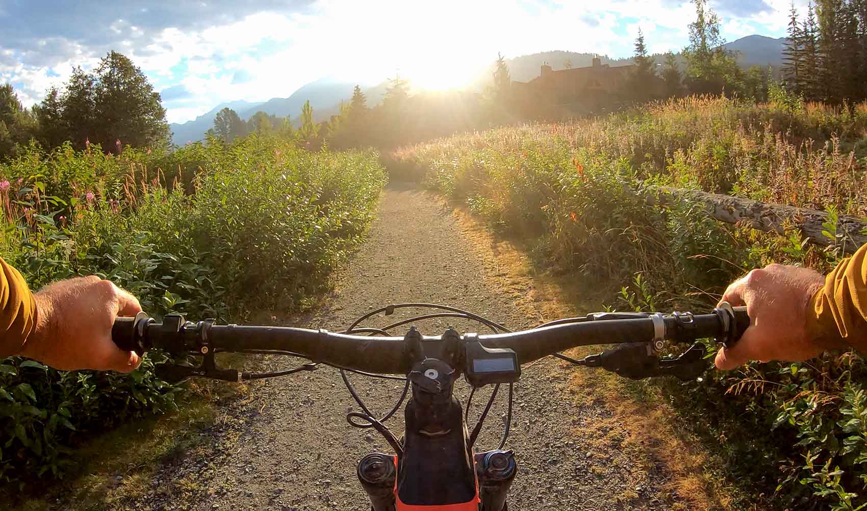 mountain e-biker rides alongside meadow