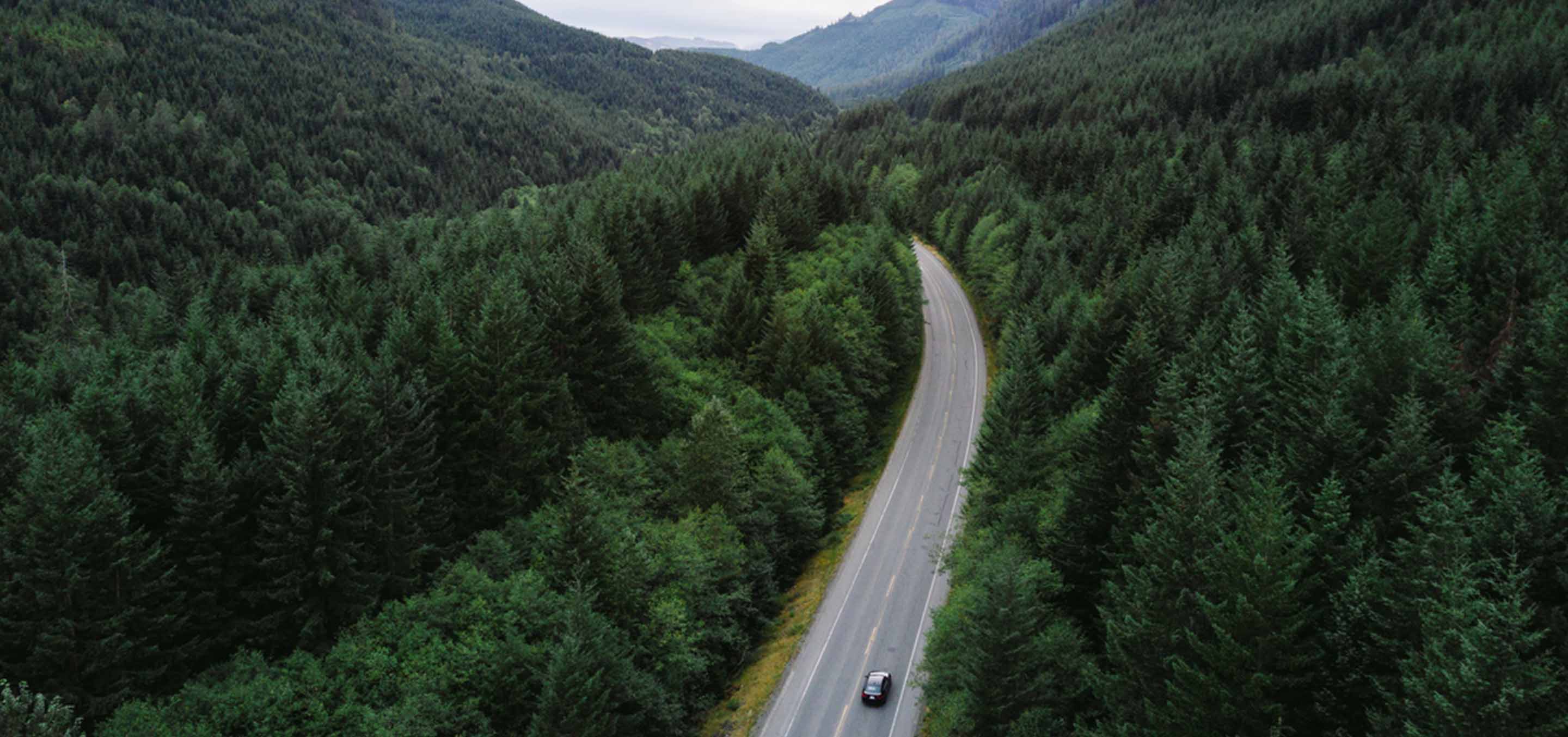 Driving Vancouver Island by Tourism Vancouver Island/Ben Giesbrecht