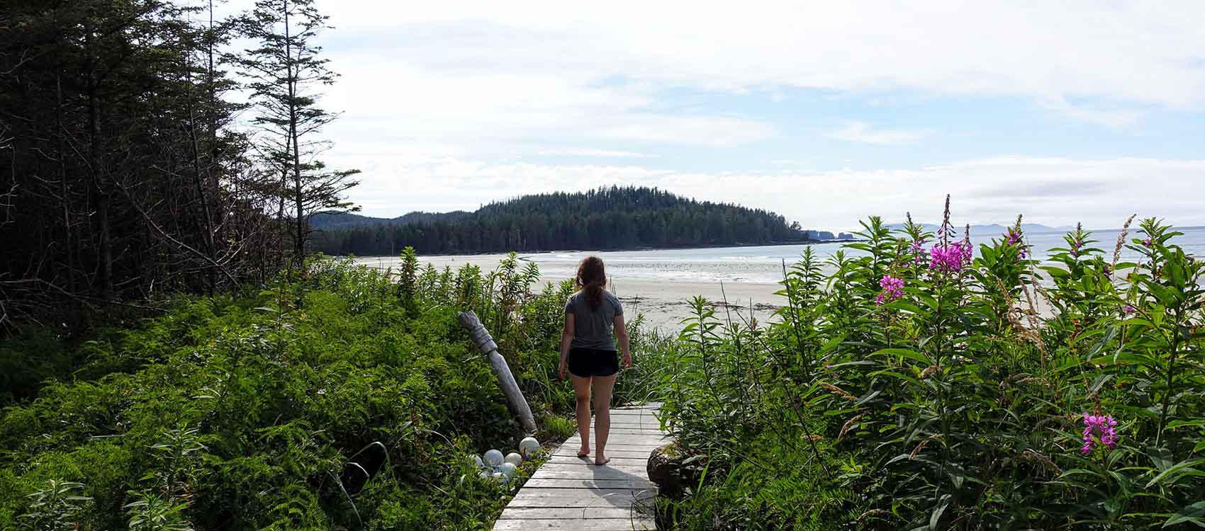 A hiker walking along the boardwalk to nels bight surrounded by forest and the pacific ocean, along the beautiful cape scott trail on Northern Vancouver island