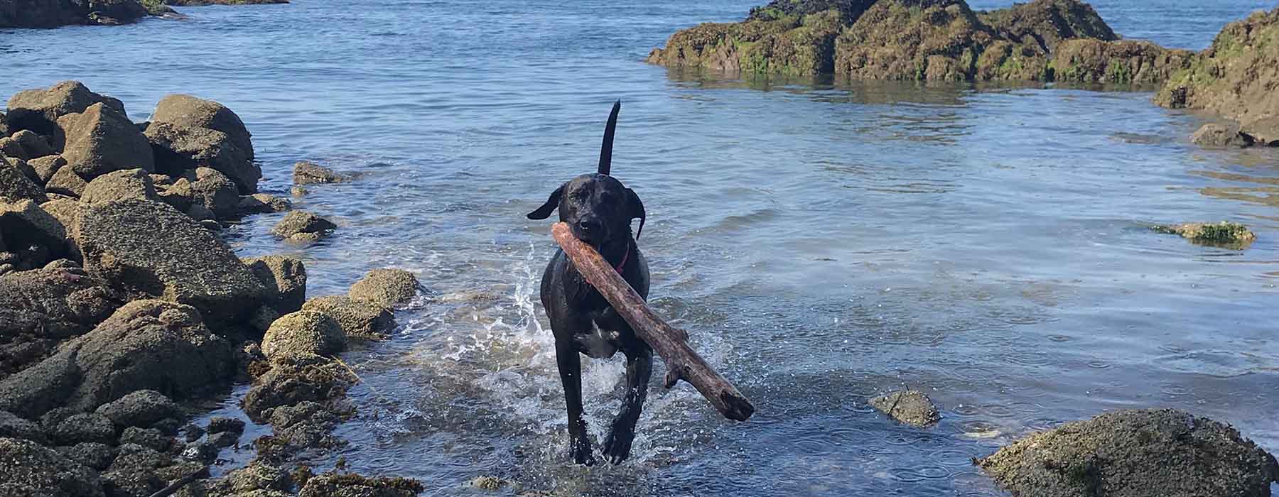 Lu the branch manager