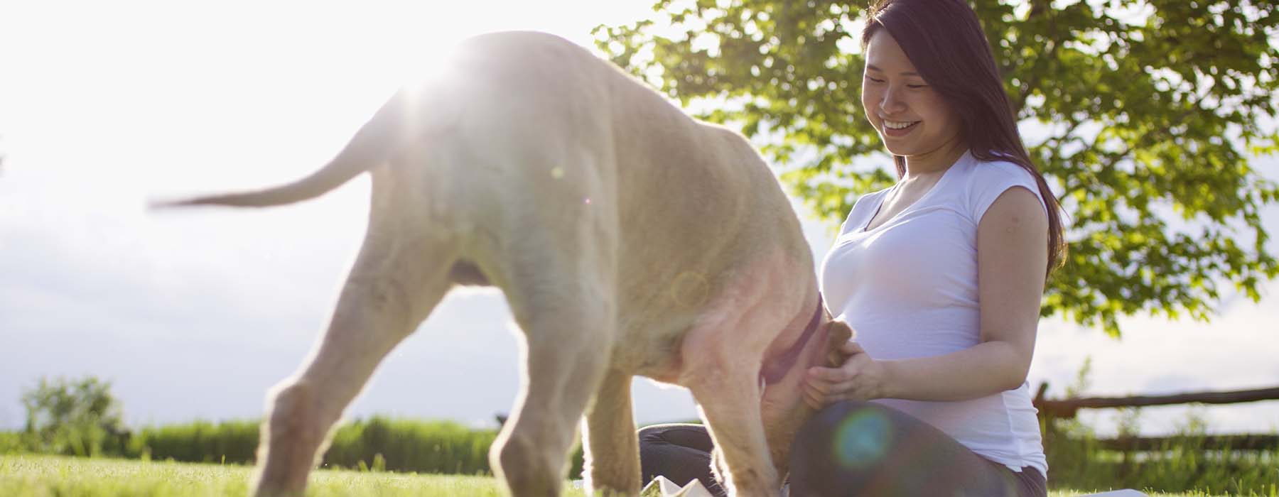 woman and her dog in a sunny park