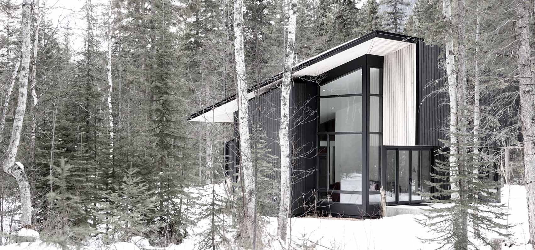 Form and Forest cabin by Sven Boecker