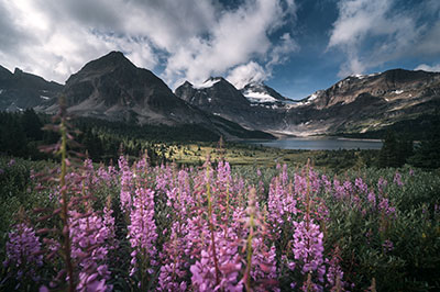 Mount Assiniboine Provincial Park