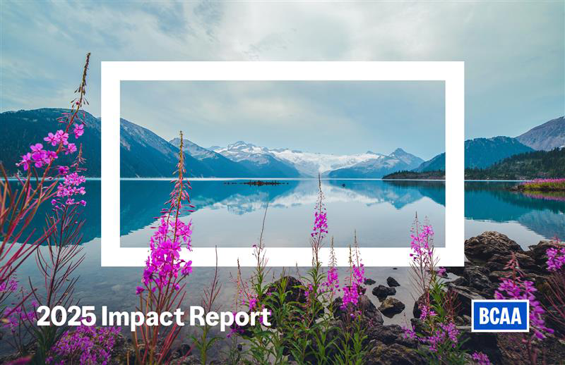 BCAA 2025 Impact Report Cover