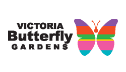 Victoria Butterfly Gardens