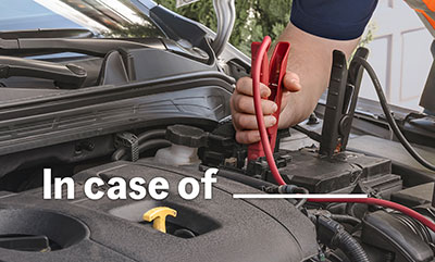 BCAA Battery Service