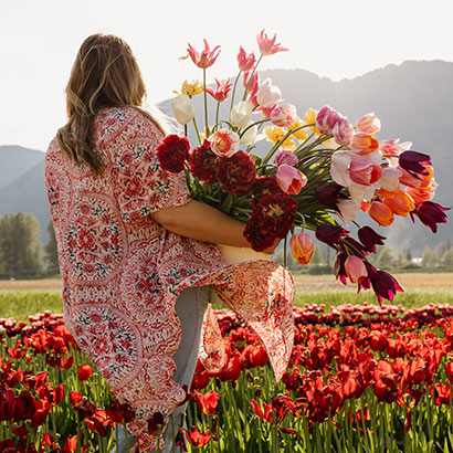 Botanica Tulip Festival