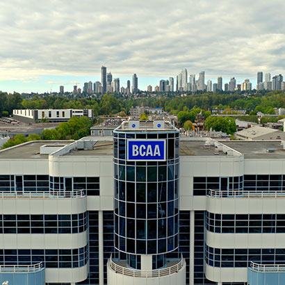 Evolve was created by BCAA