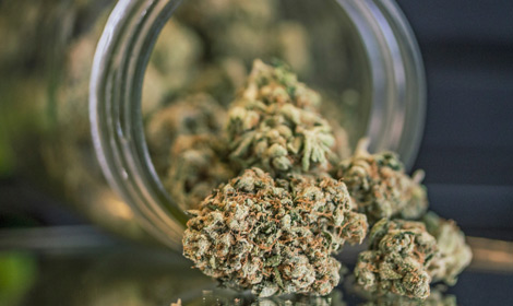 marijuana in jar