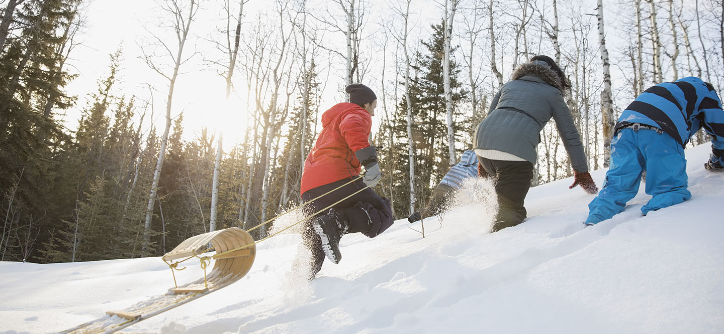 pulling toboggan